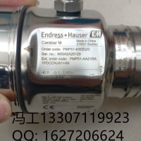 E+H探头PH计CPS11D-7BT21